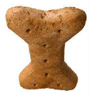bone.jpg