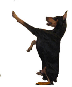 buzzy2.JPG