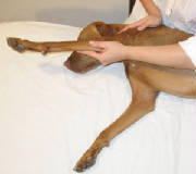shoulderstretch.jpg