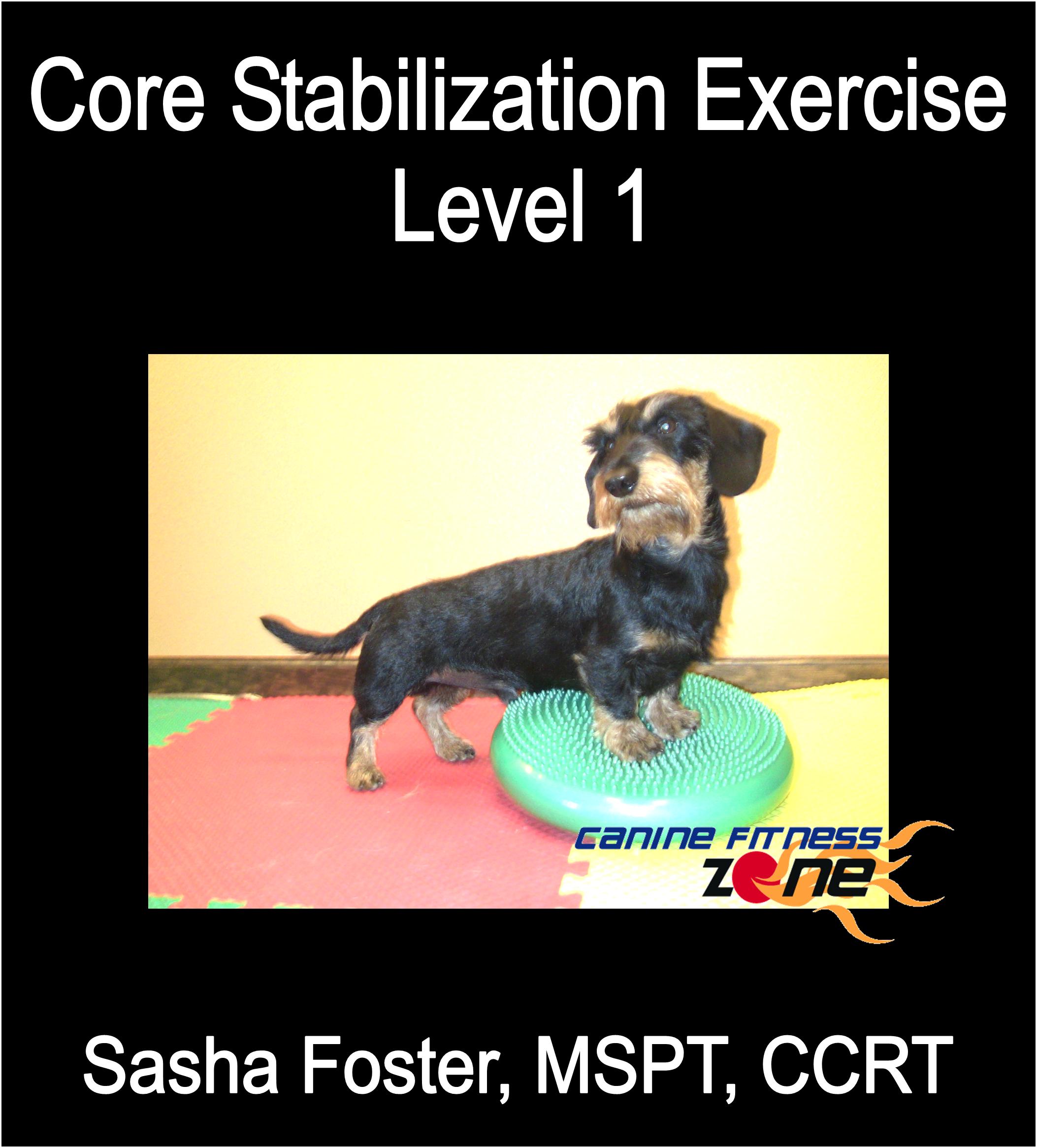 CoreStabilizationCover.jpg