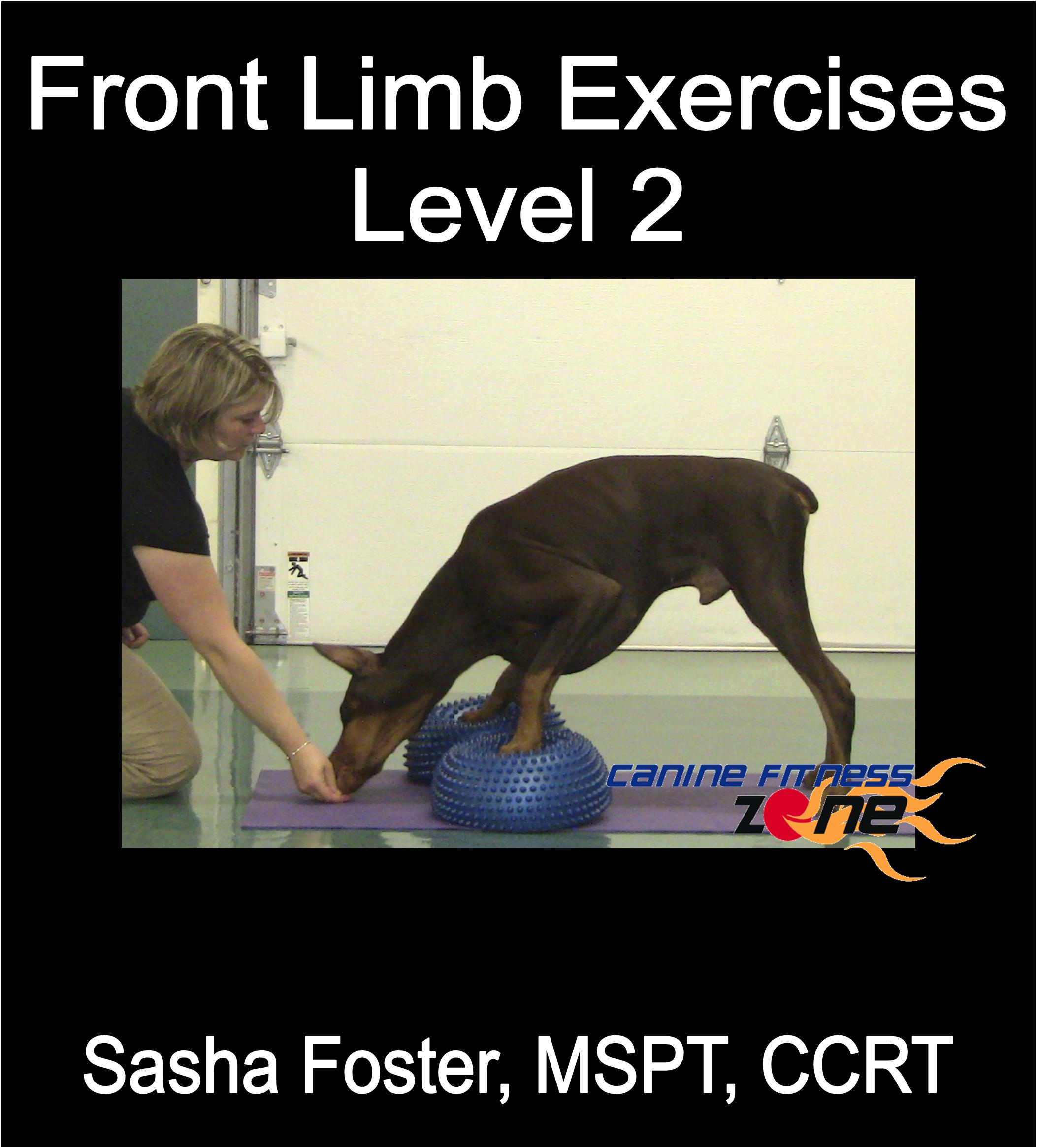 front_limb_injury_prevention.jpg