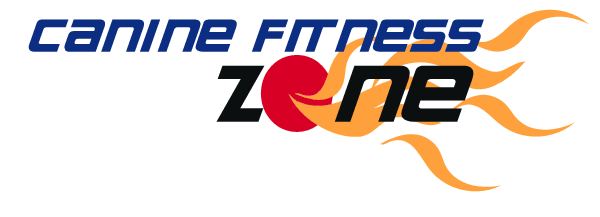 logogif.gif