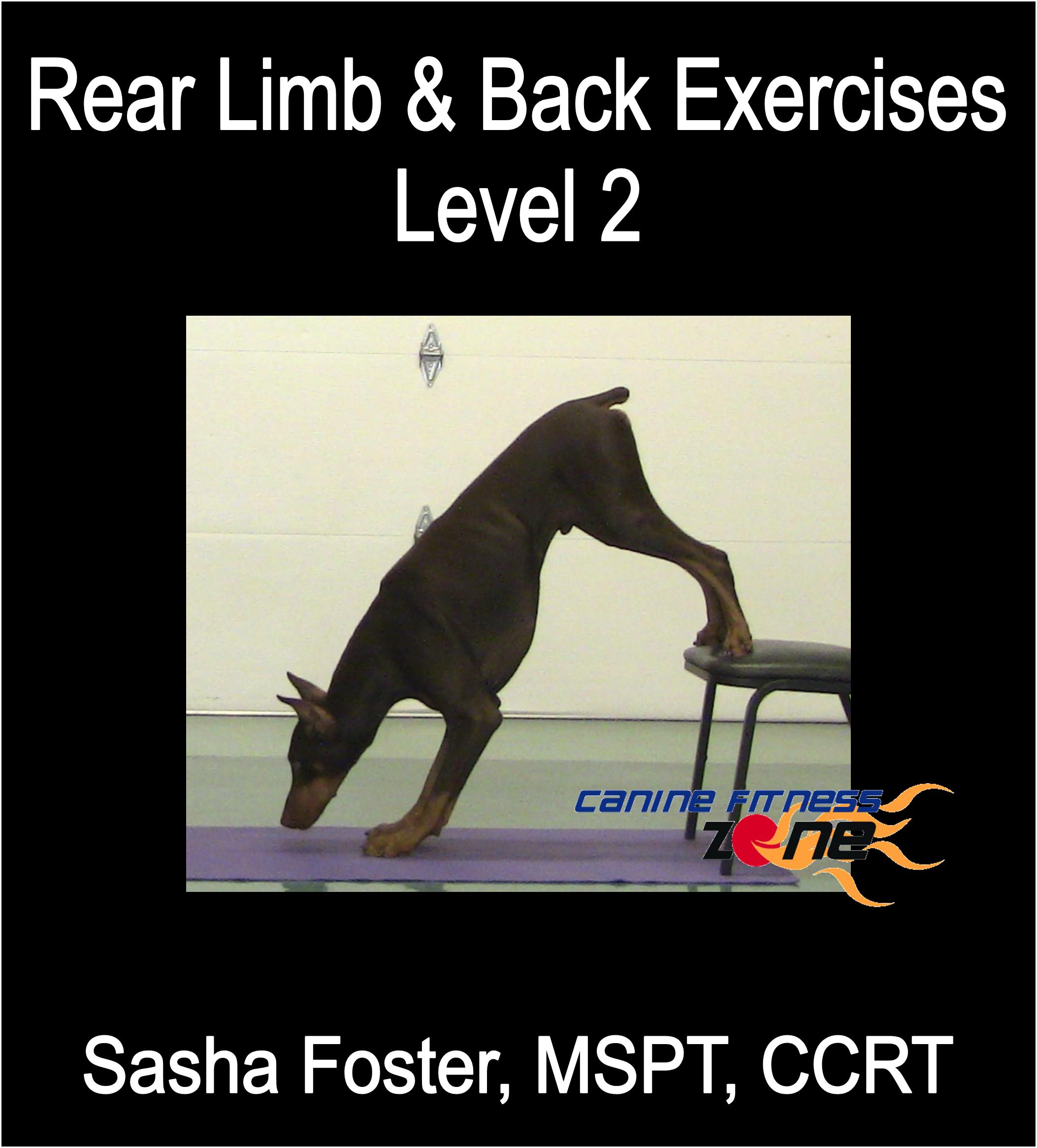 rear_limb.jpg